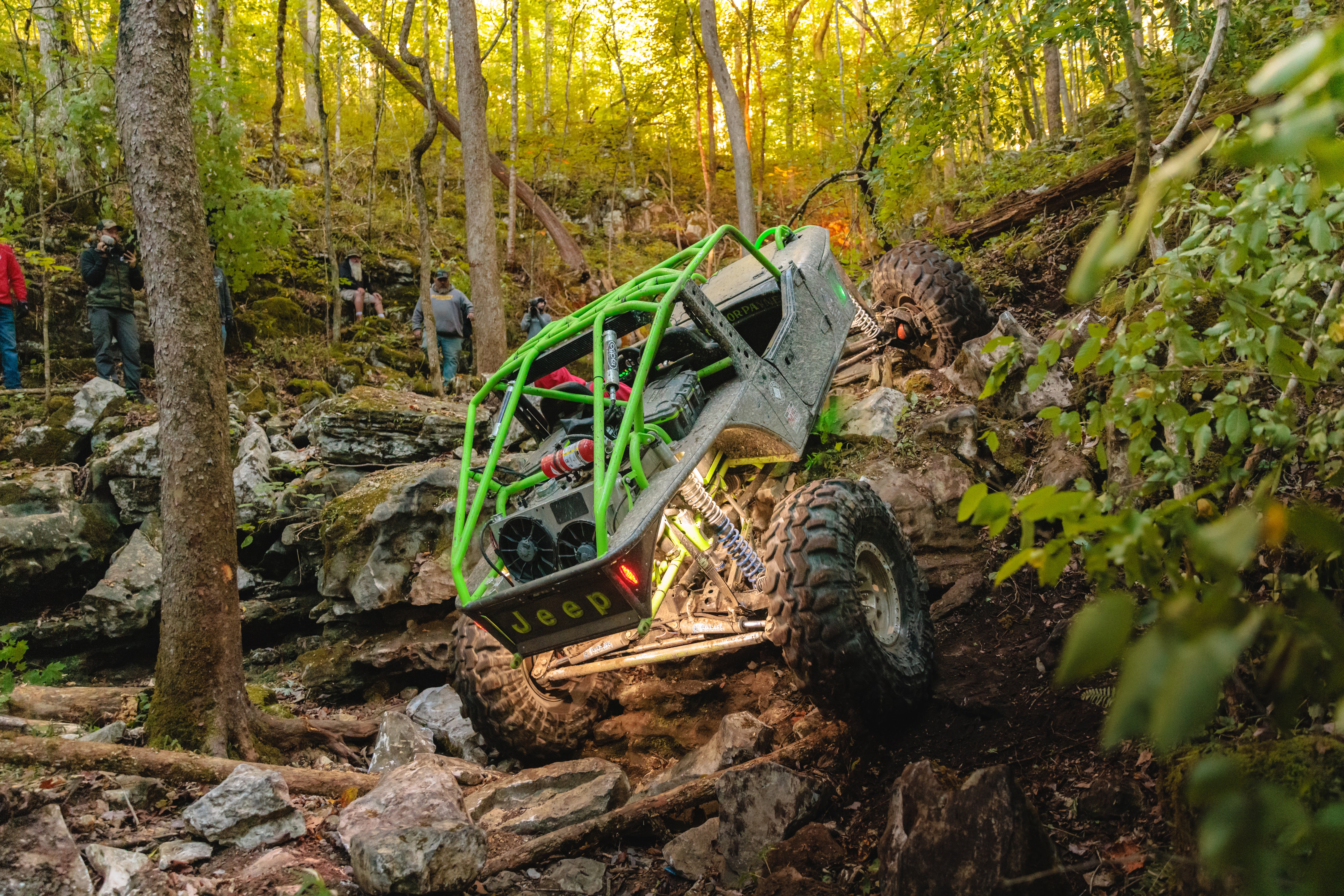 Wildcard Application – Flex, Rocks & Rollovers